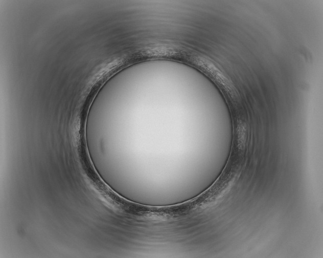 X0000112480490200908311414