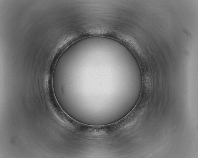 X0000112480491200908311414