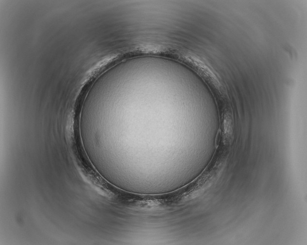 X0000112480492200908311414