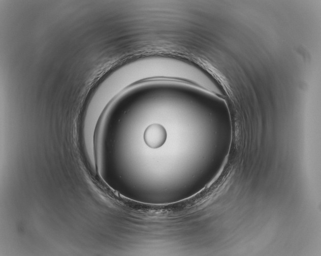 X0000112480493200908311414