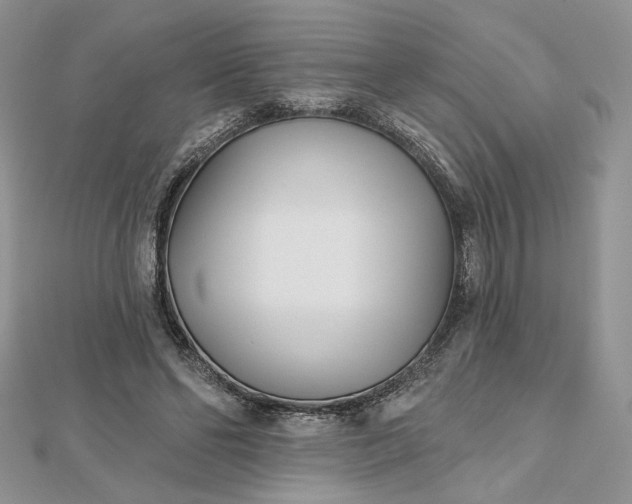 X0000112480494200908311414