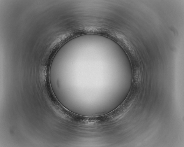 X0000112480495200908311414