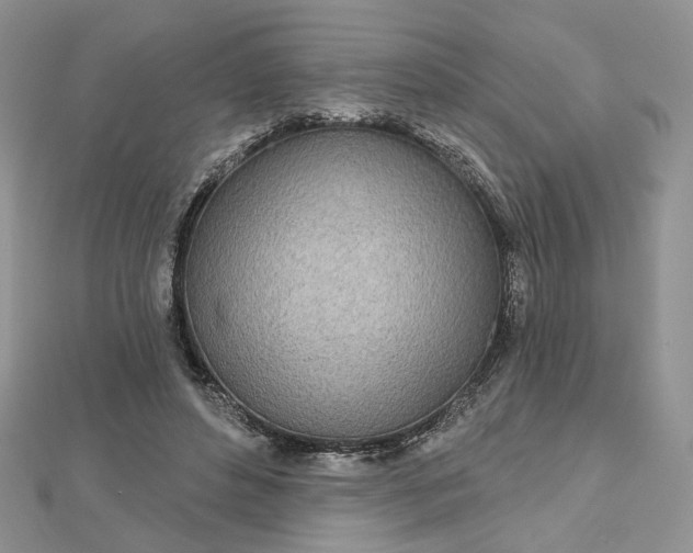 X0000112480496200908311414