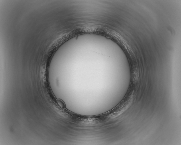 X0000112480497200908311414