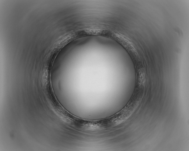 X0000112480498200908311414