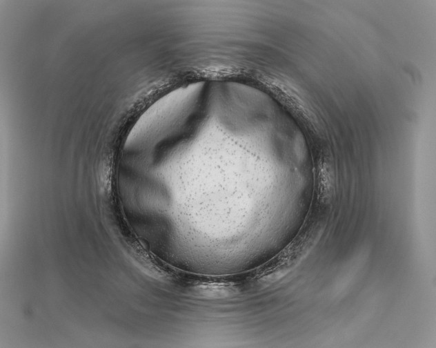 X0000112480499200908311414