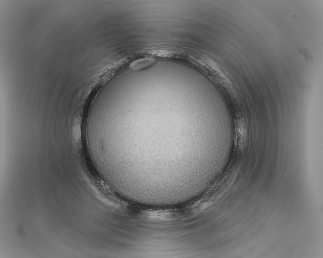 X0000112480500200908311414