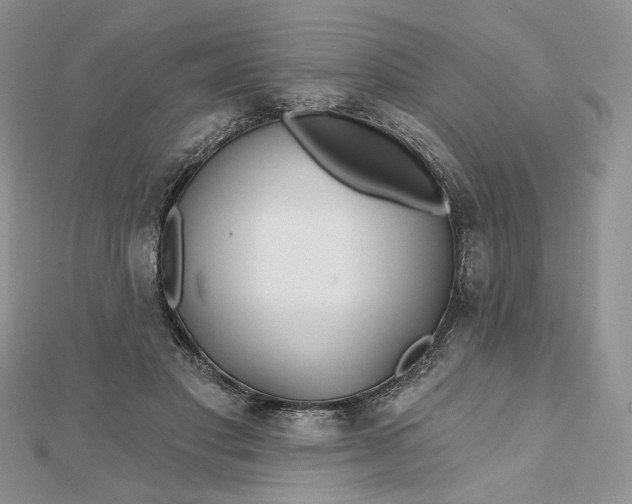 X0000112480501200908311414