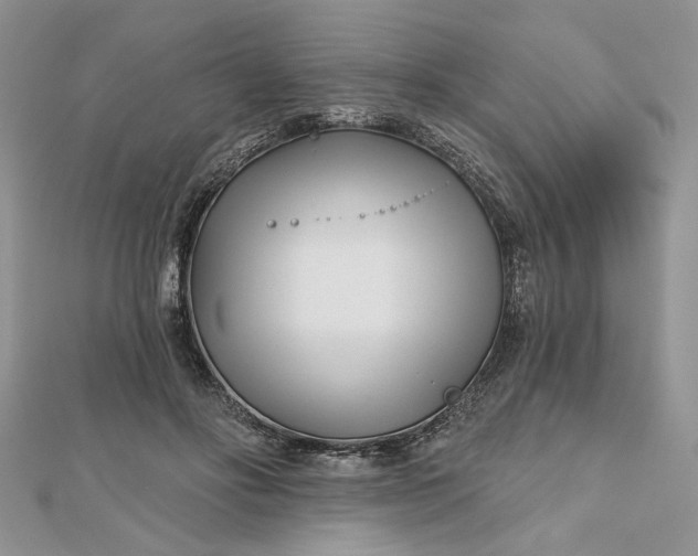 X0000112480502200908311414