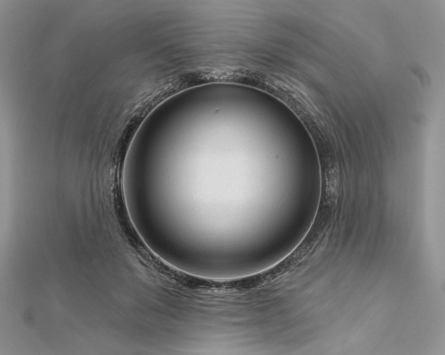 X0000112480503200908311414