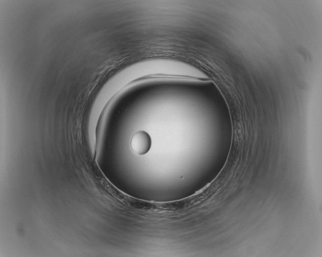 X0000112480504200908311414