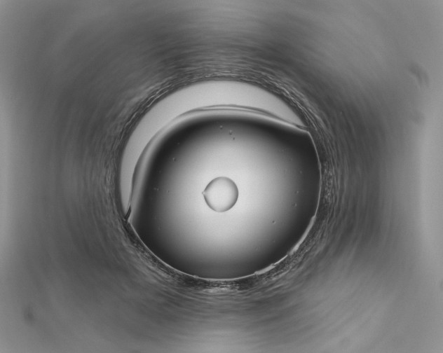 X0000112480505200908311414