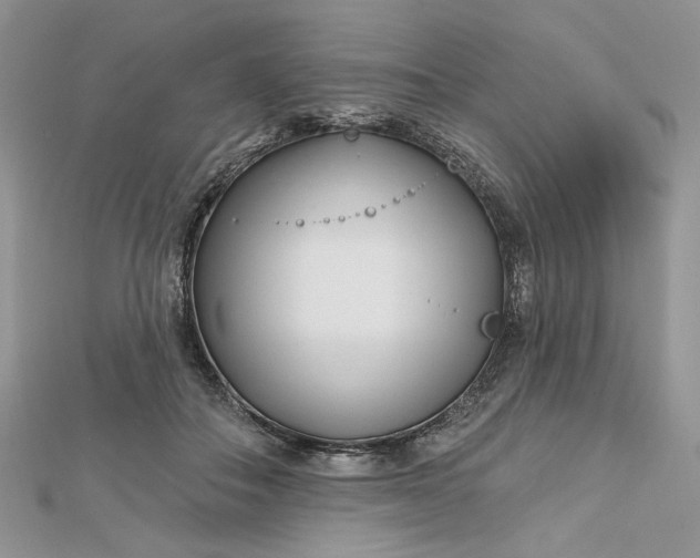 X0000112480506200908311414