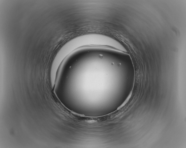 X0000112480509200908311414