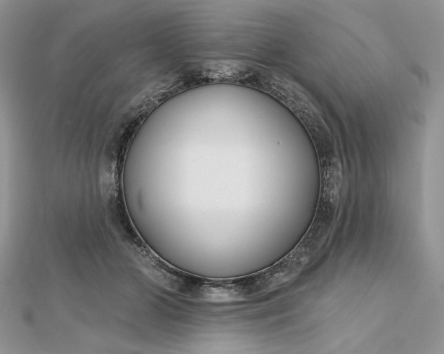 X0000112480510200908311414