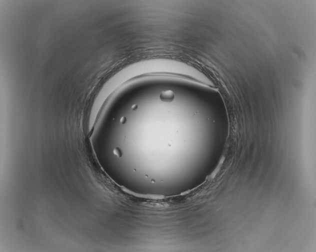 X0000112480512200908311414