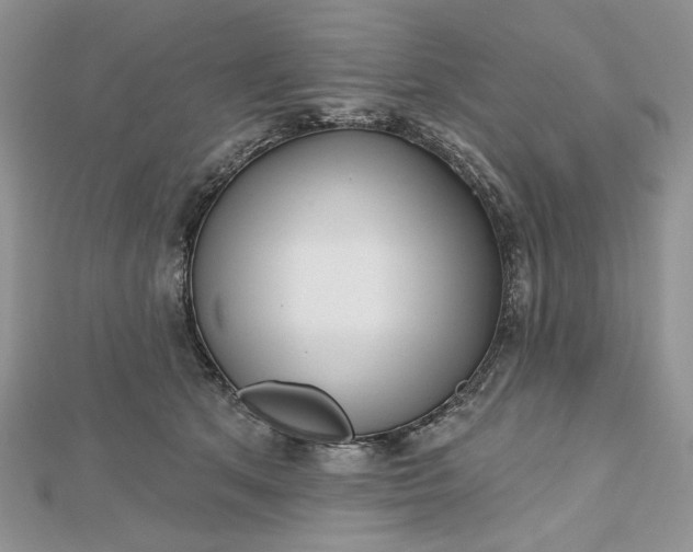 X0000112480513200908311414