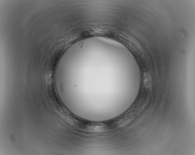 X0000112480514200908311414