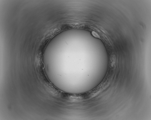 X0000112480515200908311414