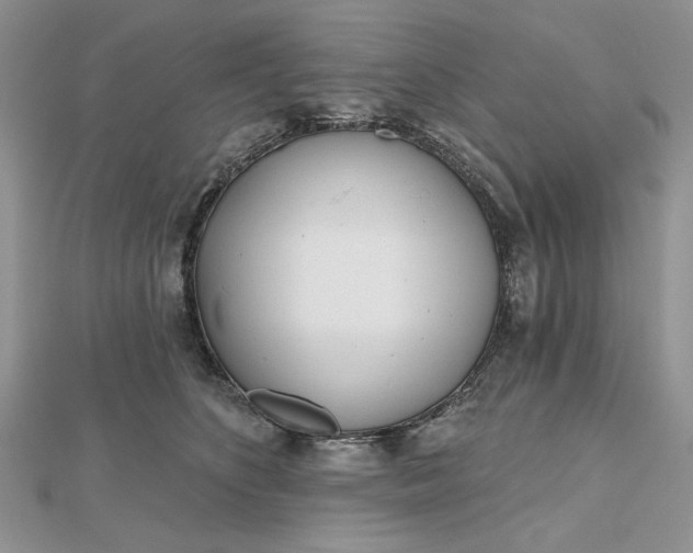 X0000112480516200908311414