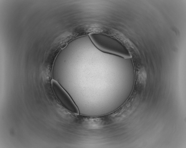 X0000112480517200908311414