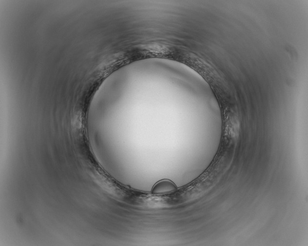 X0000112480518200908311414