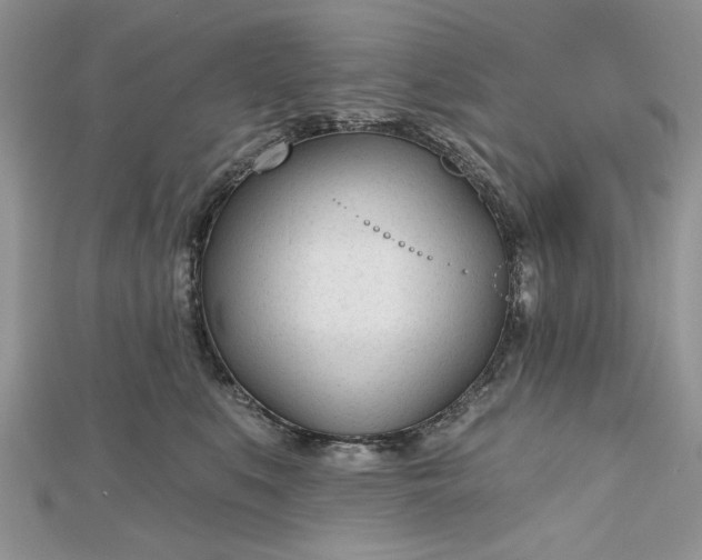 X0000112480519200908311414