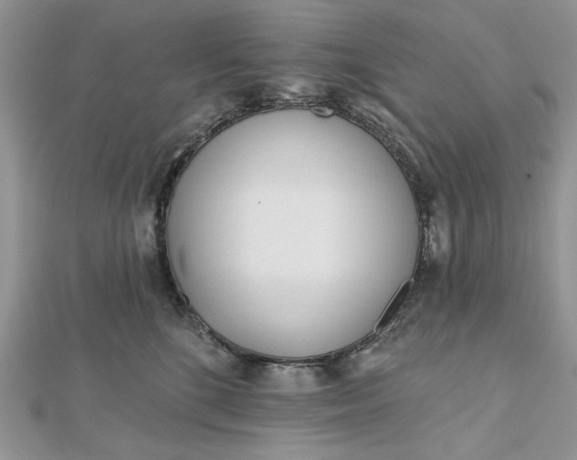 X0000112480520200908311414