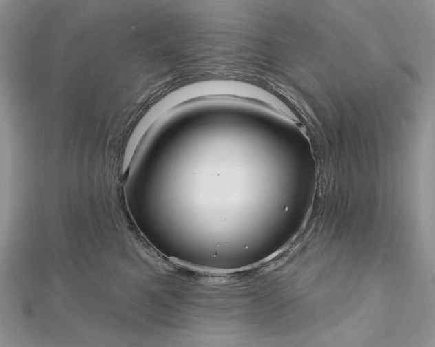 X0000112480521200908311414