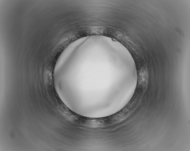 X0000112480522200908311414