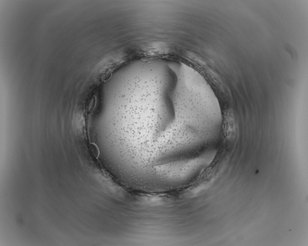 X0000112480523200908311414