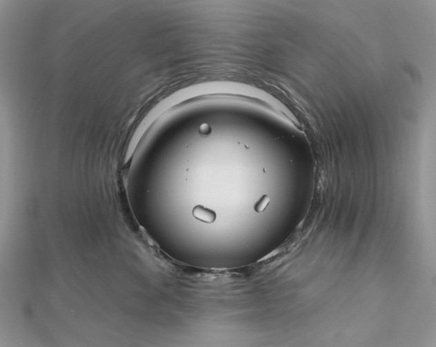 X0000112480524200908311414