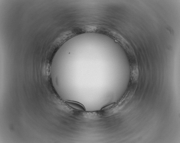 X0000112480525200908311414