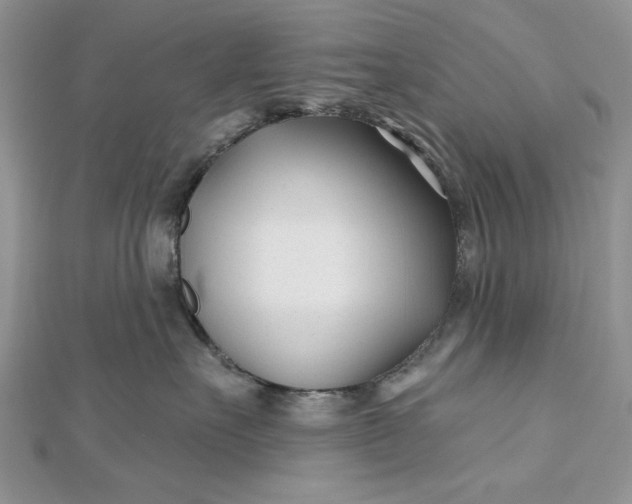 X0000112480527200908311414