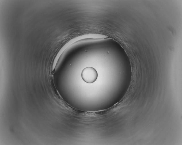 X0000112480528200908311414