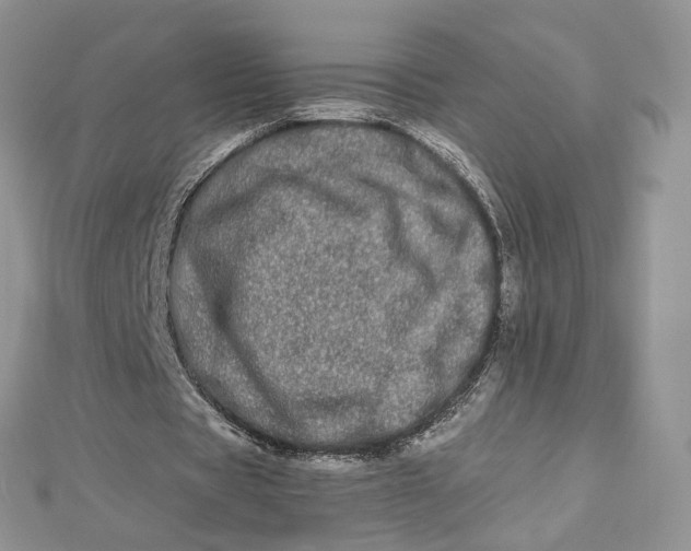 X0000112480529200908311413