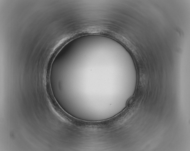 X0000112480530200908311413