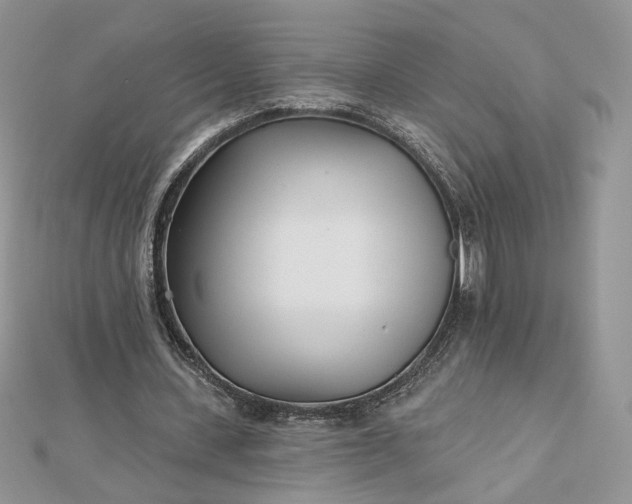 X0000112480531200908311413