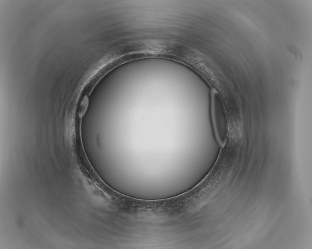 X0000112480532200908311413