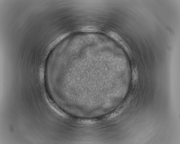 X0000112480533200908311413