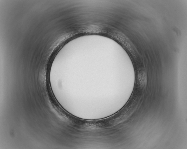 X0000112480534200908311413