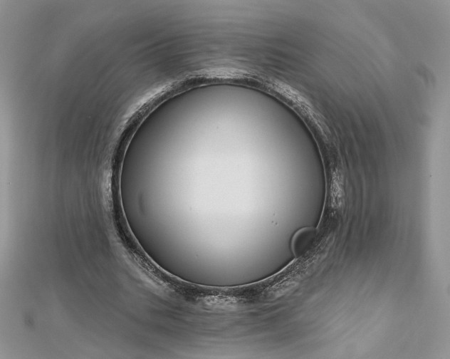 X0000112480535200908311413