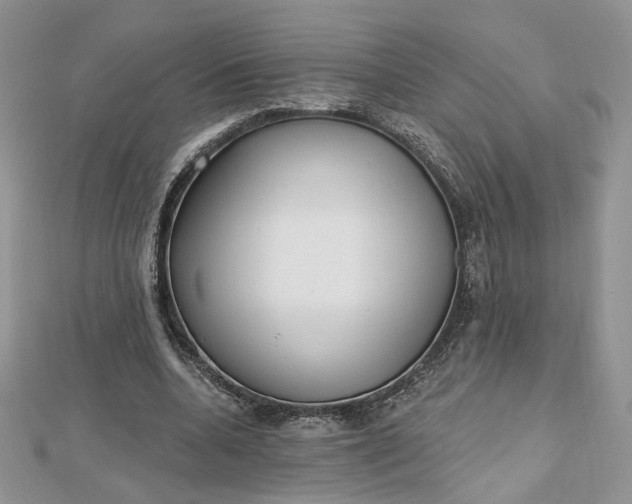 X0000112480536200908311413