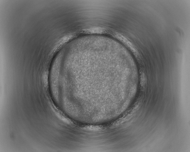 X0000112480537200908311413