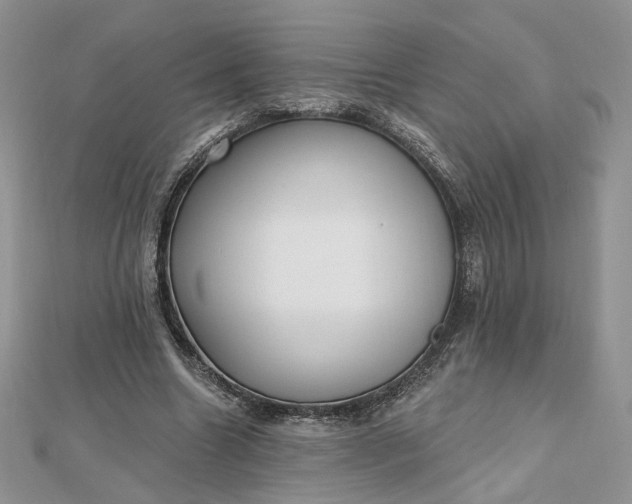 X0000112480538200908311413