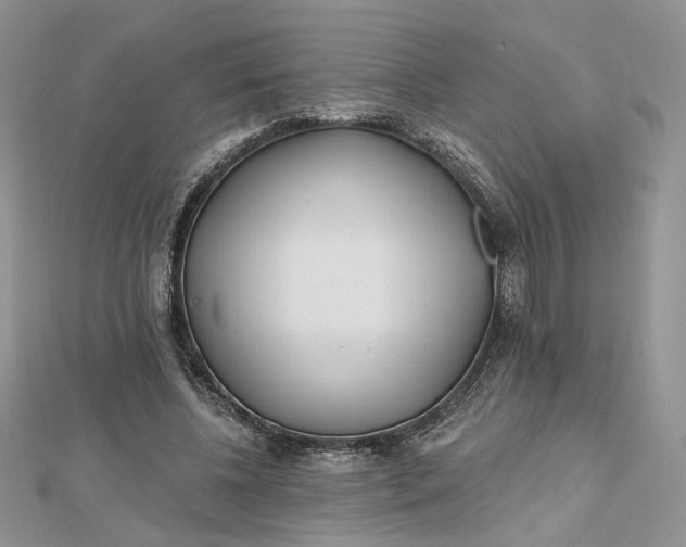 X0000112480540200908311413