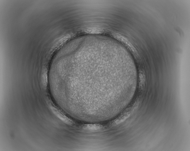 X0000112480541200908311413