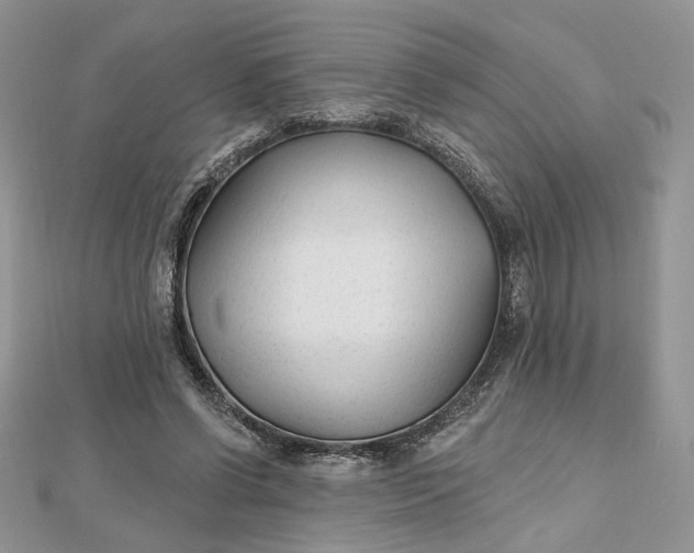 X0000112480542200908311413