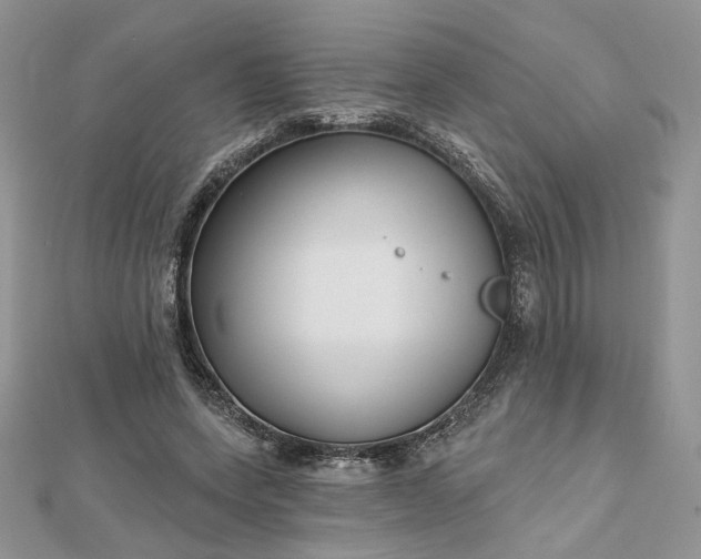 X0000112480543200908311413