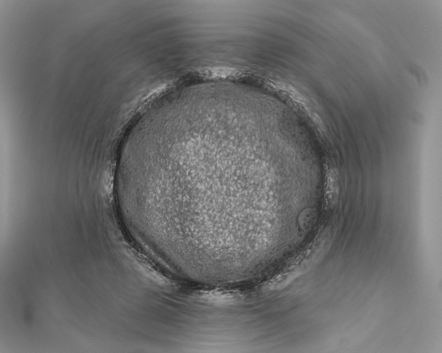 X0000112480545200908311413